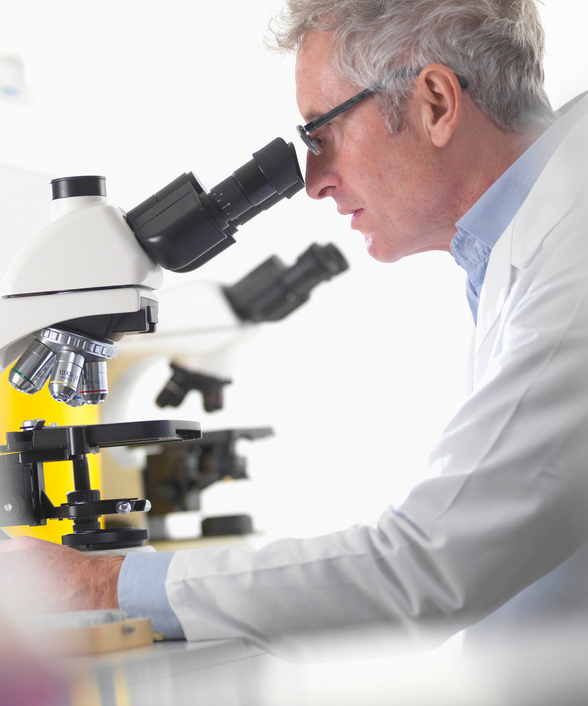 Pharmaceutical Intermediates