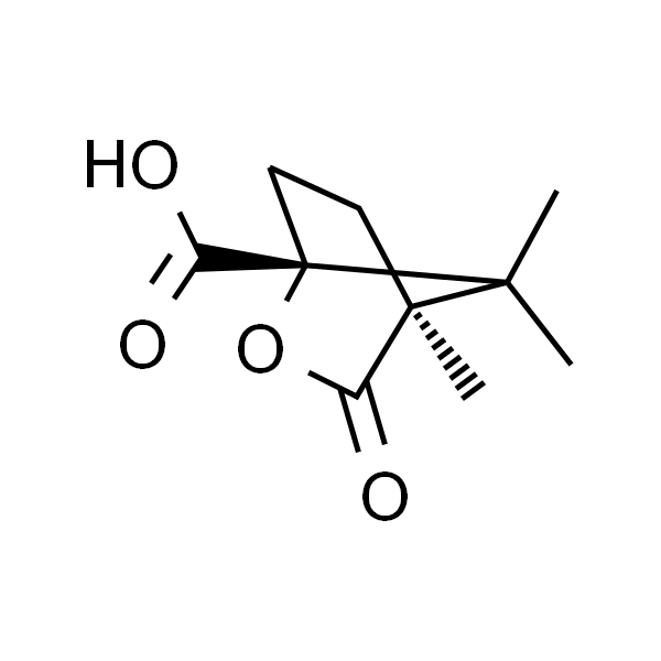 OEM Manufacturer R-Nipecotic Acid - (1R)-(+)-Camphanic Acid CAS 67111-66-4 Purity ≥98.0% (GC) High Purity – Ruifu