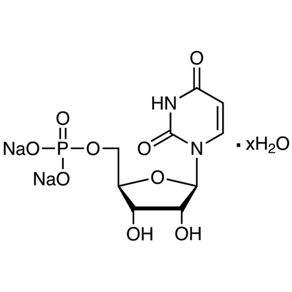 OEM/ODM Factory Temozolomide Intermediate - Uridine 5′-Monophosphate Disodium Salt Hydrate (5′-UMP 2Na Hydrate) CAS 3387-36-8 Assay ≥98.0% – Ruifu
