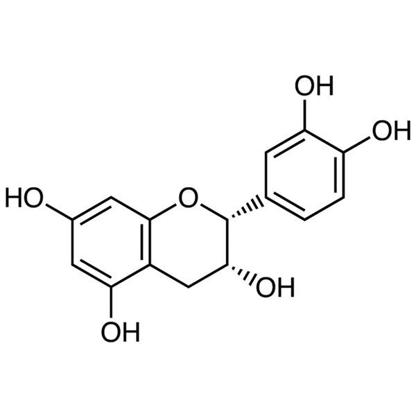 (-)-Epicatechin CAS 490-46-0 Purity ≥95.0% (HPLC)