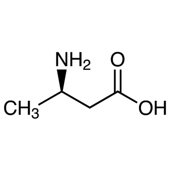 (R)-3-Aminobutyric Acid CAS 3775-73-3 Assay ≥99.0% (Titration) e.e ≥99.0% Factory High Quality